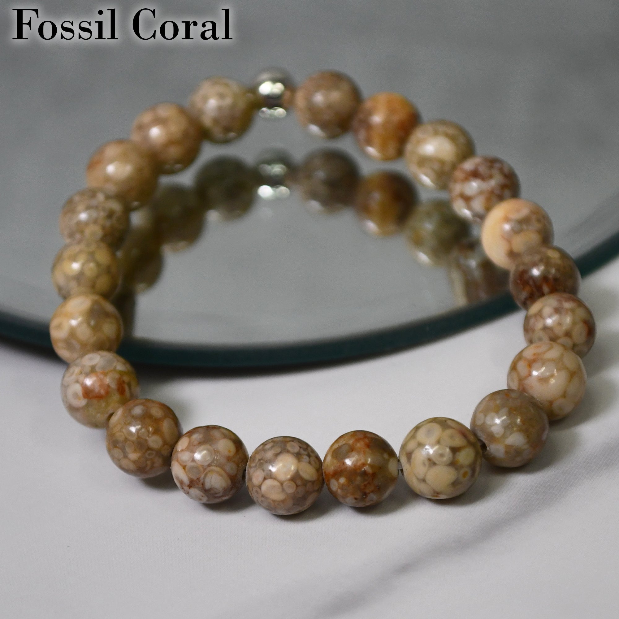 Fossil Coral Stretch Bracelet